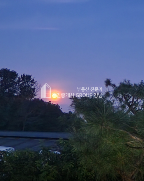 인천 강화군 화도면 흥왕리 강화도 펜션 8동과 아름다운 카페. 잘 가꿔진 조경과 풀장 매도 또는 임대 임대 매물번호 10778 사진 10
