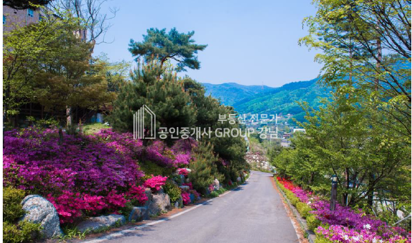 경기 남양주시 수동면 외방리 199병상 자연휴양림의 자연과 더불어 힐링할 수있는 요양병원 매매 매물번호 10783 사진 1